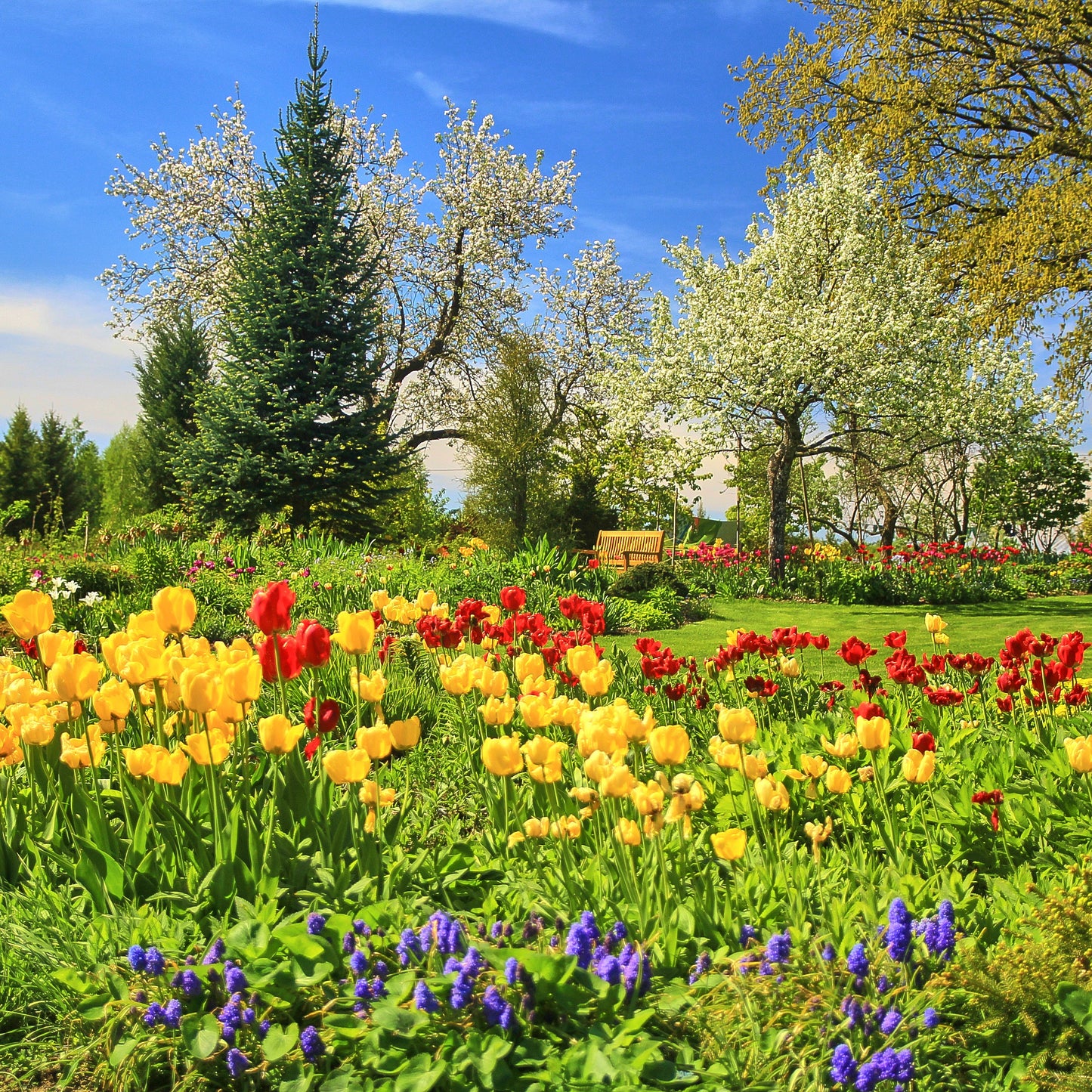 Blüherfolg in Deinem Garten - JETZT!