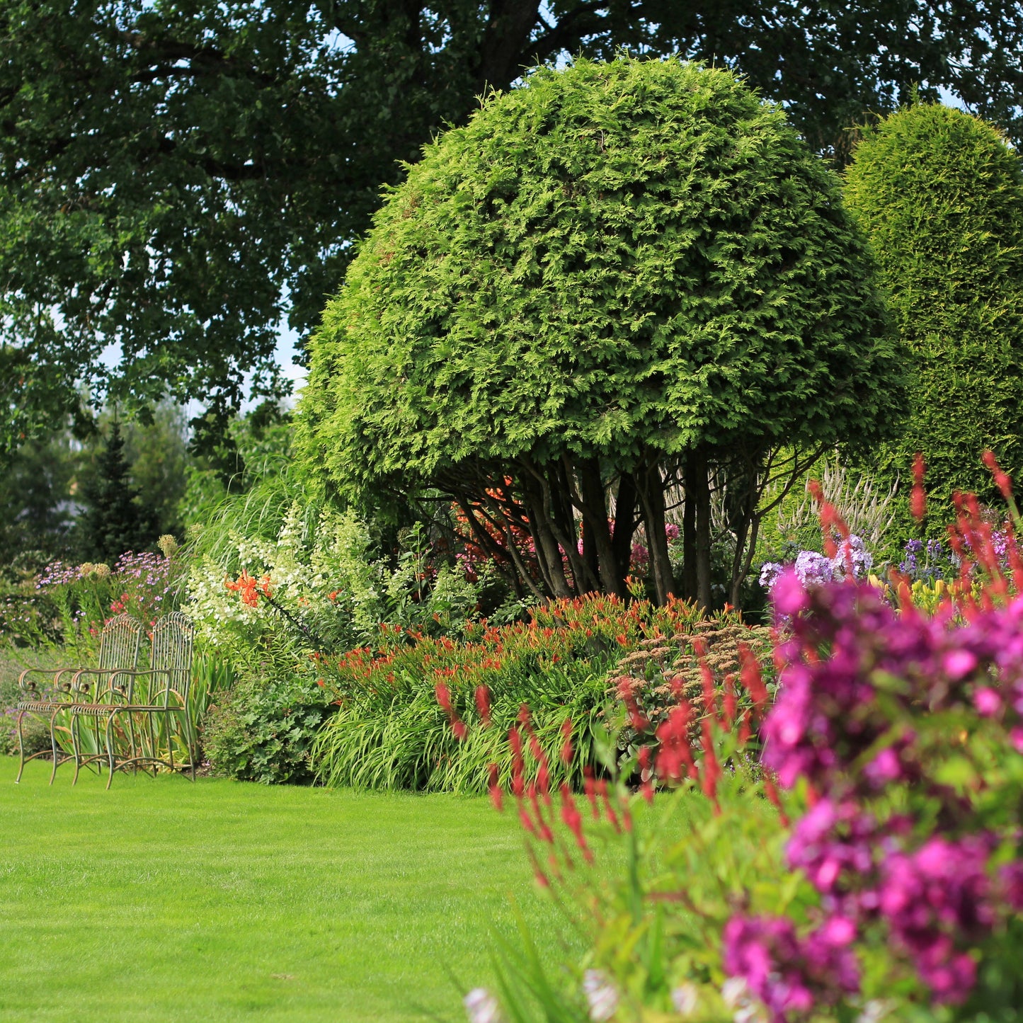Gartenprofi Minikurs