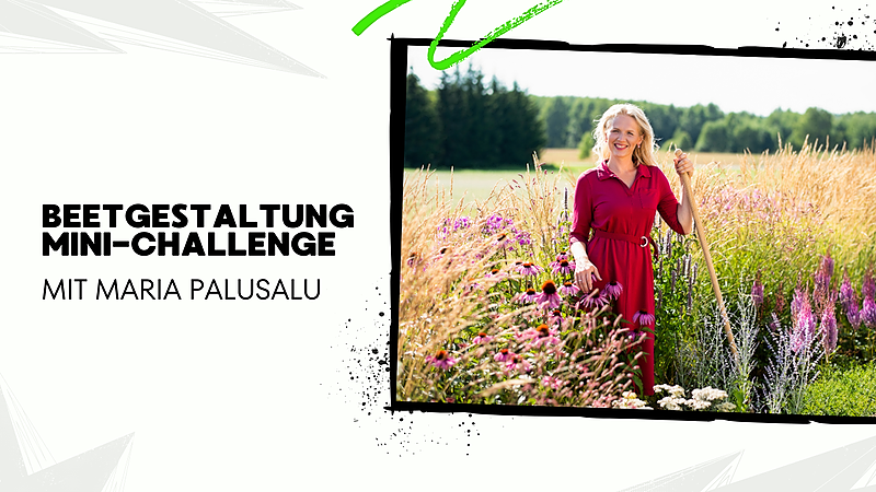 Blumenbeet Mini-Challenge